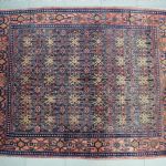 1017 7009 ORIENTAL RUG